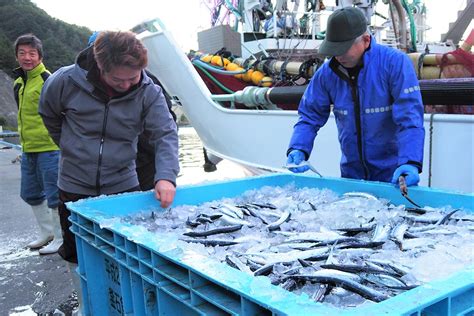 「やっときたな」サンマ初水揚げ 釜石で23トン かまいし情報ポータルサイト〜縁とらんす