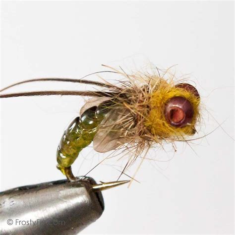 Realistic Caddis Emerger Frostyfly Fly Tying Fly Fishing Flies