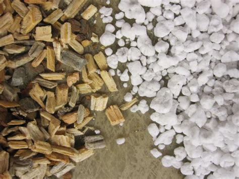 Pine Wood Chips As An Alternative To Perlite In Greenhouse Substrates