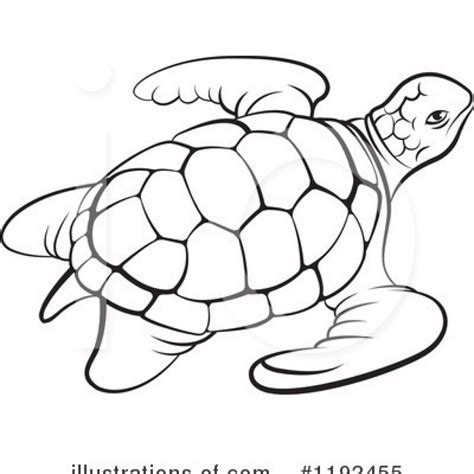 Turtle Outline Drawing at PaintingValley.com | Explore collection of ...