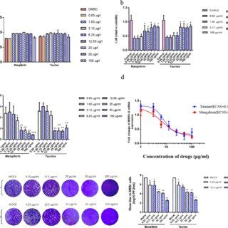 Mangiferin And Taurine Ameliorate Msrv Infection A Cell Viability Of