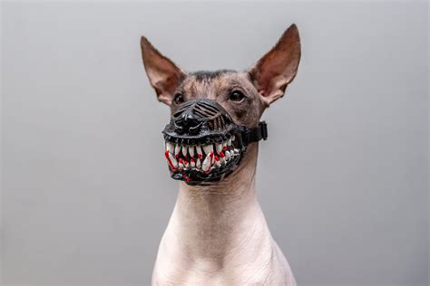 Werewolf Dog Muzzle With Blood Scary Doberman Muzzles Custom - Etsy ...