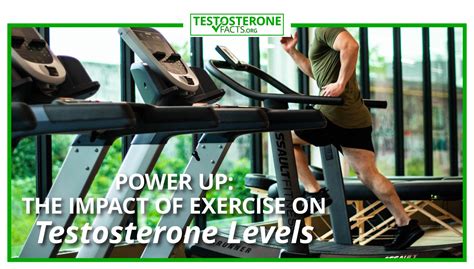 Power Up The Impact Of Exercise On Testosterone Levels