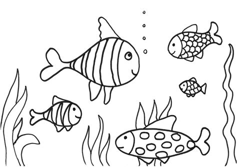 Fish Coloring Page 2016 Printable Activity Shelter