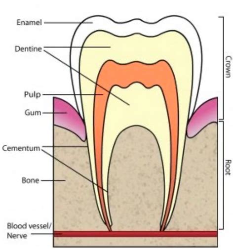 Dublin Vitality Centre specialises in 1 hour teeth whitening to remove ...