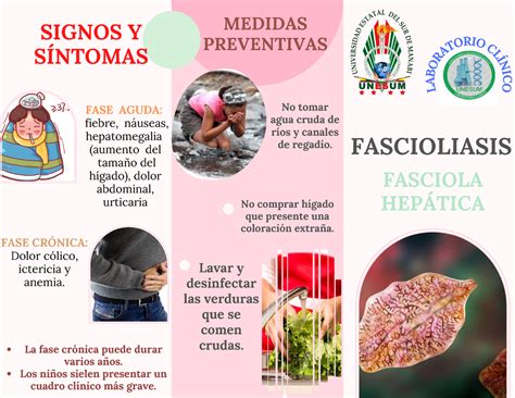 Fasciola Hep Tica Parasitologia Unesum Studocu