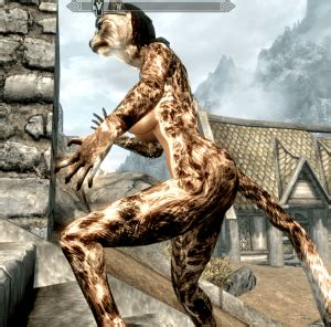 Top Best Skyrim Khajiit Mods Tbm Thebestmods