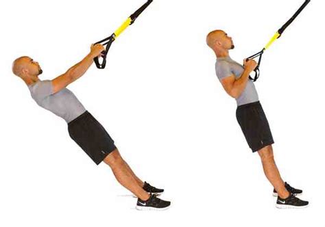 Exercices Trx 4 Mouvements De Base