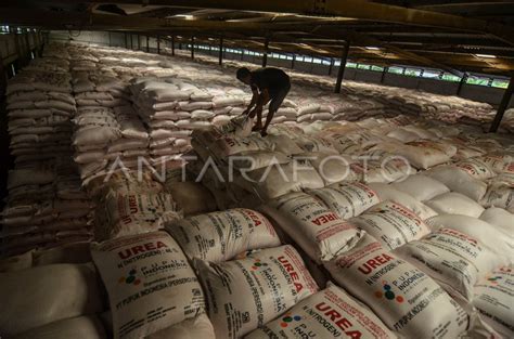 STOK PUPUK SUBSIDI AWAL MUSIM TANAM ANTARA Foto