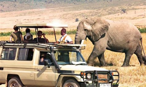 13 Days Tanzania Wildlife Safari And Cultural Tour Tanzania Safari