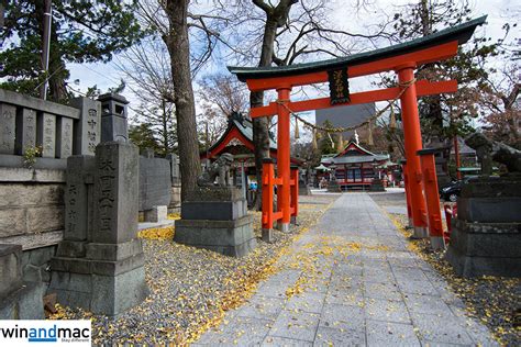 日本全面開關 10月11日起恢復免簽證自由行、再無入境人數上限 視麥媒體