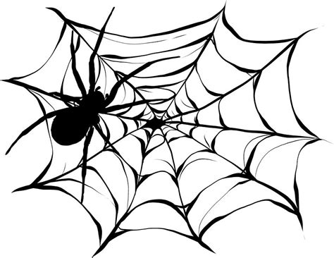 Black spider and torn web. Scary spiderweb of halloween symbol ...