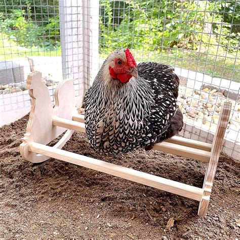 Chicken Rocking Roosting Bar Toy For Coop Made In The Usa Solid Strong Natural Wooden Swing