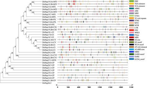 Prediction Of Cis Regulatory Elements Related With Growth And