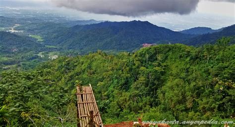 Kebun Teh Nglinggo Jogja Panorama Indah Dari Bukit Menoreh Kulonprogo