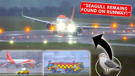 Crosswind Birdstrike Easyjet A Neo Landing At Bristol Airport