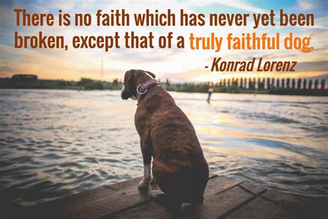 25 Dog Quotes (With Pictures!)