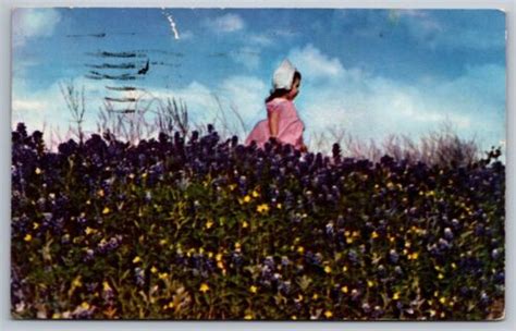 Postcard Blue Bonnets Of Texas State Flower Girl In White Bonnet