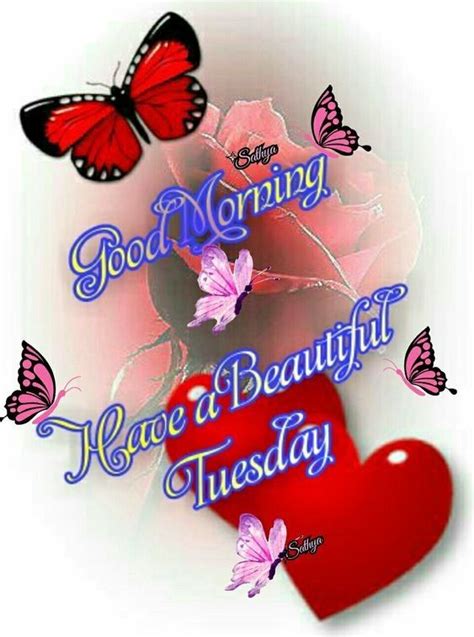 Di Vec50 Good Morning Flowers Quotes Good Morning Tuesday Tuesday