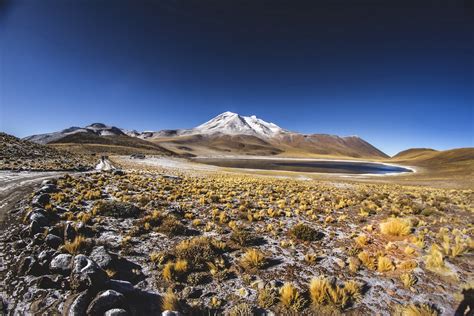 Tour lagunas altiplánicas Tour San Pedro de Atacama Chile