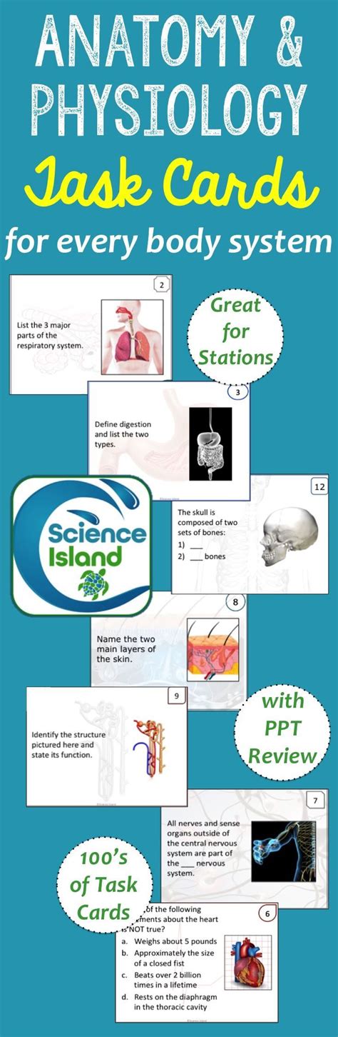 Anatomy And Physiology Task Card Bundle Print And Digital Activities Anatomy And Physiology