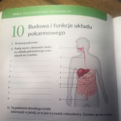 Podaj Nazwy Element W Budowa Uk Adu Pokarmowego Wskazanych Na Rysunku