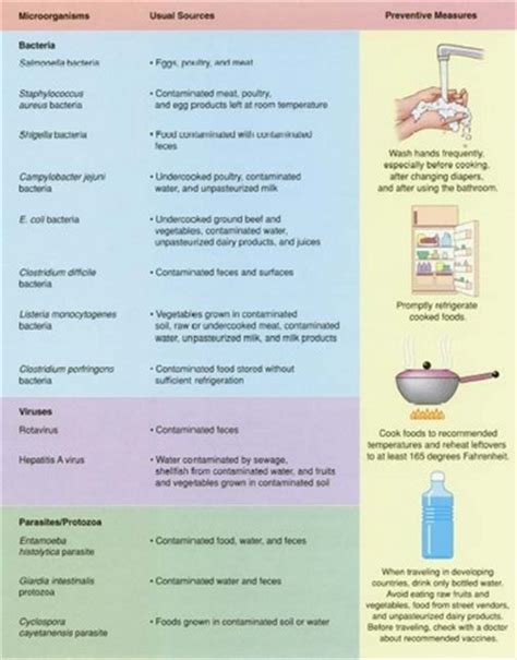 Types Of Intestinal Parasites In Humans