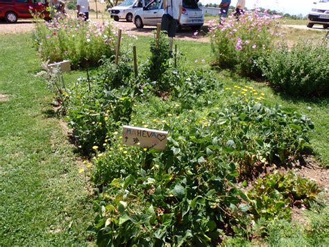 Concours National Des Jardins Potagers Les Laur Ats Soci T