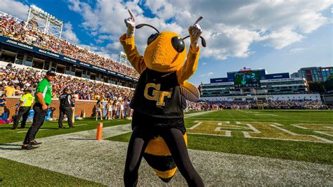 Buzz Georgia Tech Yellow Jackets