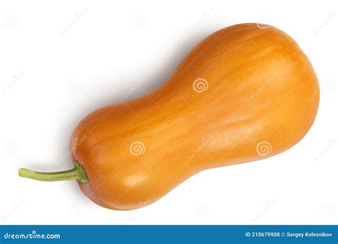 Butternut Squash Isolated On White Background With Clipping Path And Full Depth Of Field Top