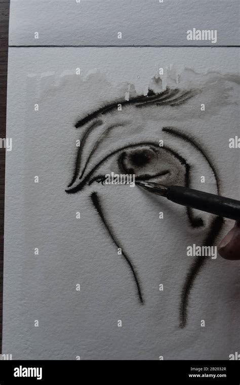 Sequence Of Drawing With Dip Pen In India Ink Onto Wet Watercolour