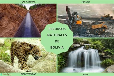 Recursos Naturales De Bolivia Resumen