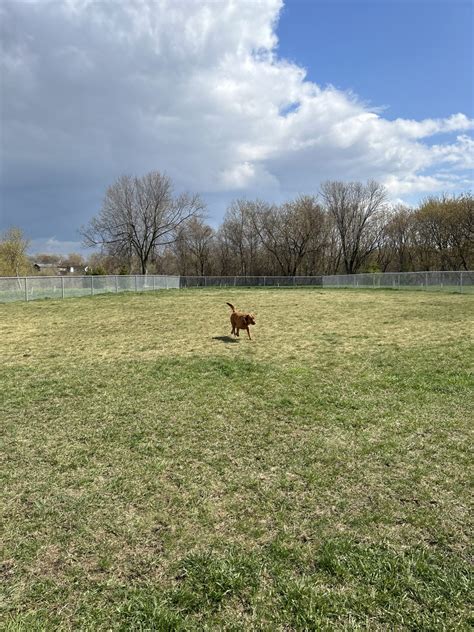 Cordova Valley Off Leash Dog Park Oshawa Everything Dogca