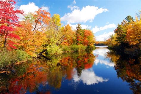 Roque Bluffs State Park - Visit Maine