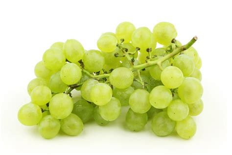 White grape stock image. Image of green, healthy, nature - 17937303