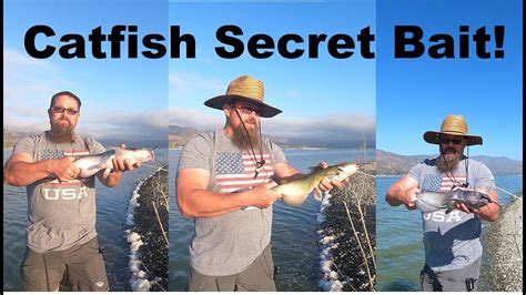 How To Catch Catfish From The Bank Catfishing Bait Youtube