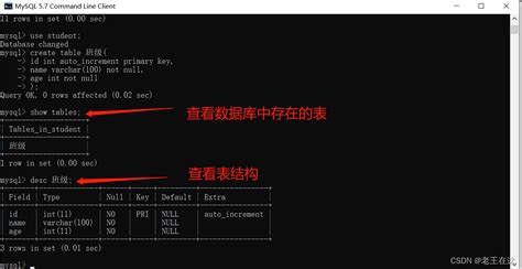 Mysql创建数据表并添加数据的相关命令及操作（二） Mysql创建表的同时新增数据 Csdn博客