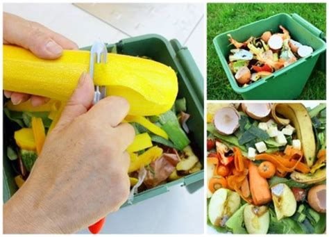 Recyclage Des Déchets Alimentaires à La Source Traitement Des Déchets