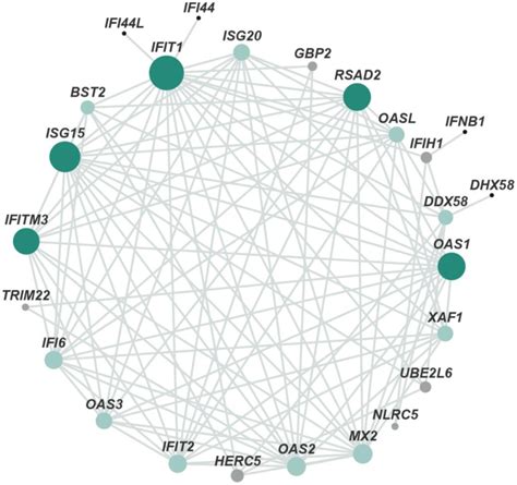 Protein Protein Interaction Network Of Degs The Main Network Cluster