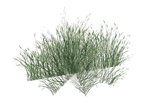 Grass Png Images Transparent Free Download