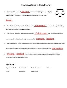 Body Systems And Homeostasis Worksheet By SheTeachesScience TPT