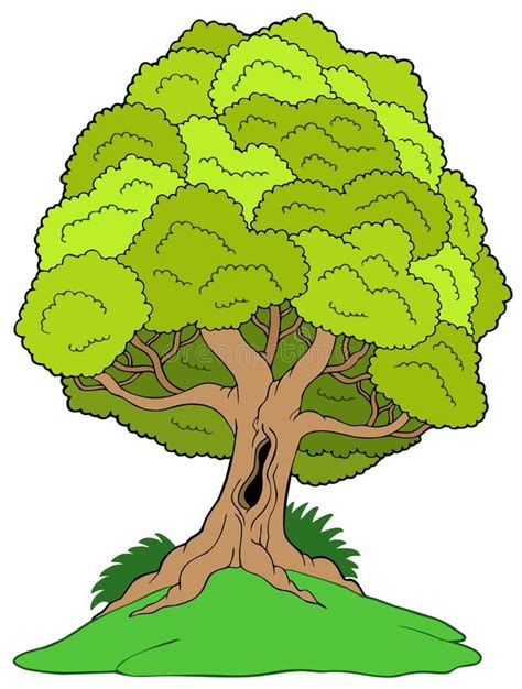 Árbol frondoso verde ilustración del vector Ilustración de alto 15614771