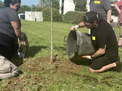 Nashville Tree Foundation