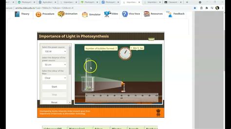 Photosynthesis Virtual Lab Instructions YouTube