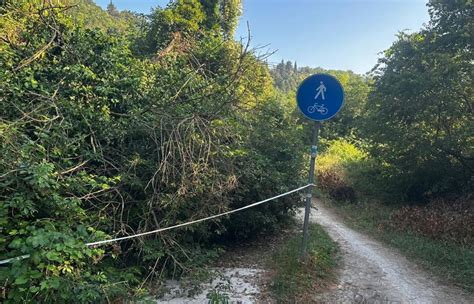 Pista Ciclabile Colle Poggibonsi Tra Incuria E Abbandono La