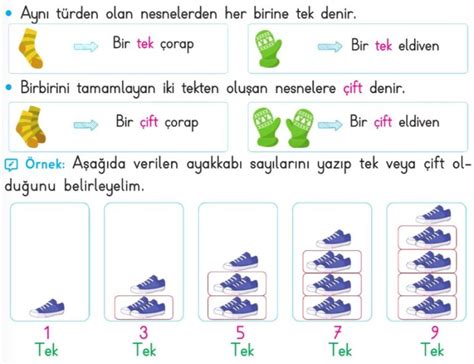 3 Sınıf Tek ve Çift Doğal Sayılar Konu Anlatımı etkinlik çalışma kağıdı