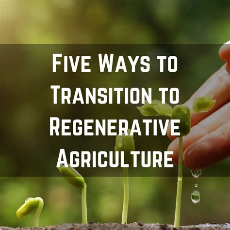 5 Ways To Transition To Regenerative Agriculture — Regenerative Farmers