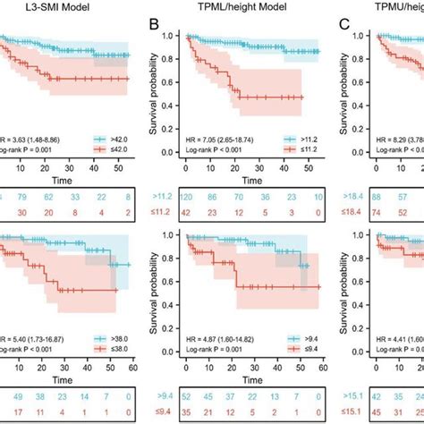 A Correlation Between Tpml Height And L Smi B Correlation Between