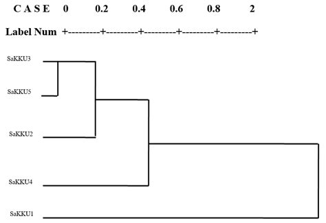 Dendrogram Showing Grouping Of The Five Ecoraces Of Eri Silkworm Samia