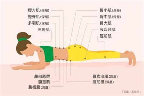 「護腰」不用一直穿 錯誤使用當心腰肌萎縮 康健雜誌 Health Map Map Screenshot